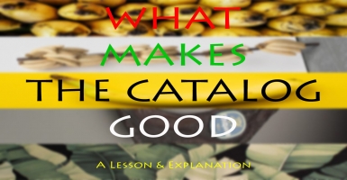 What Makes The Catalog Good